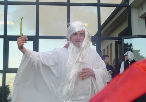carnaval ile-grande 2011 druide chargé